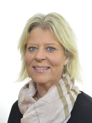 Camilla Waltersson Grönvall (M)